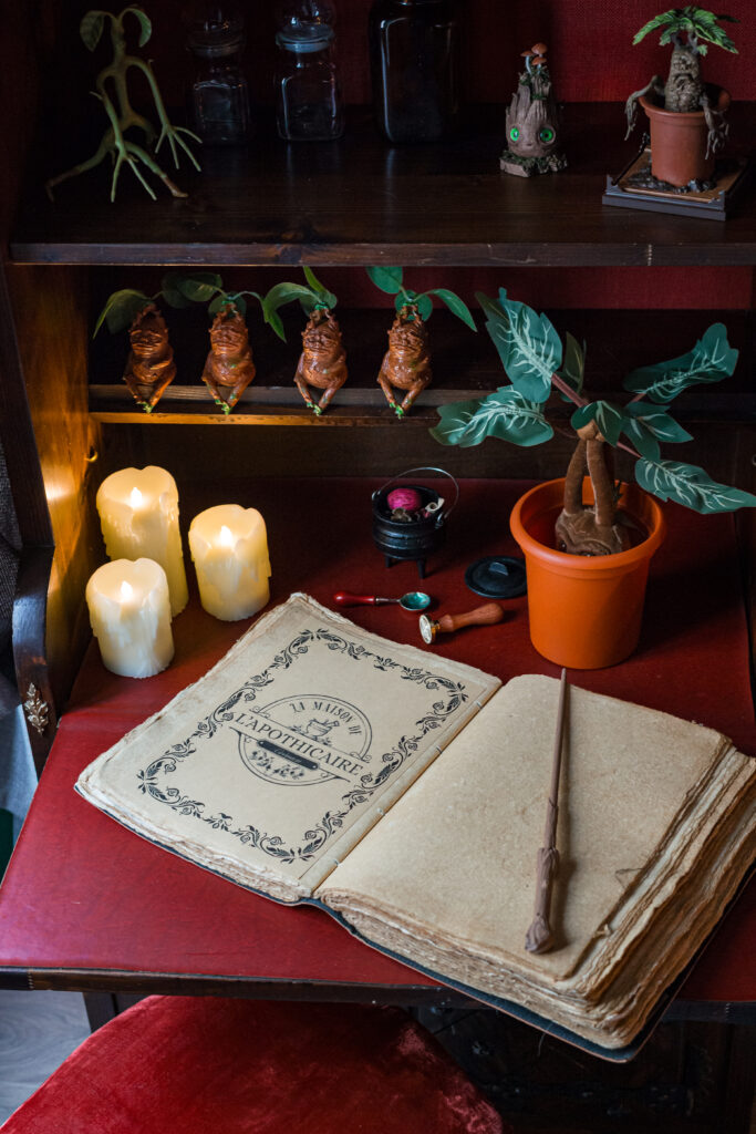 Décorations médiévales authentiques et détails artistiques à La Maison de l’Apothicaire